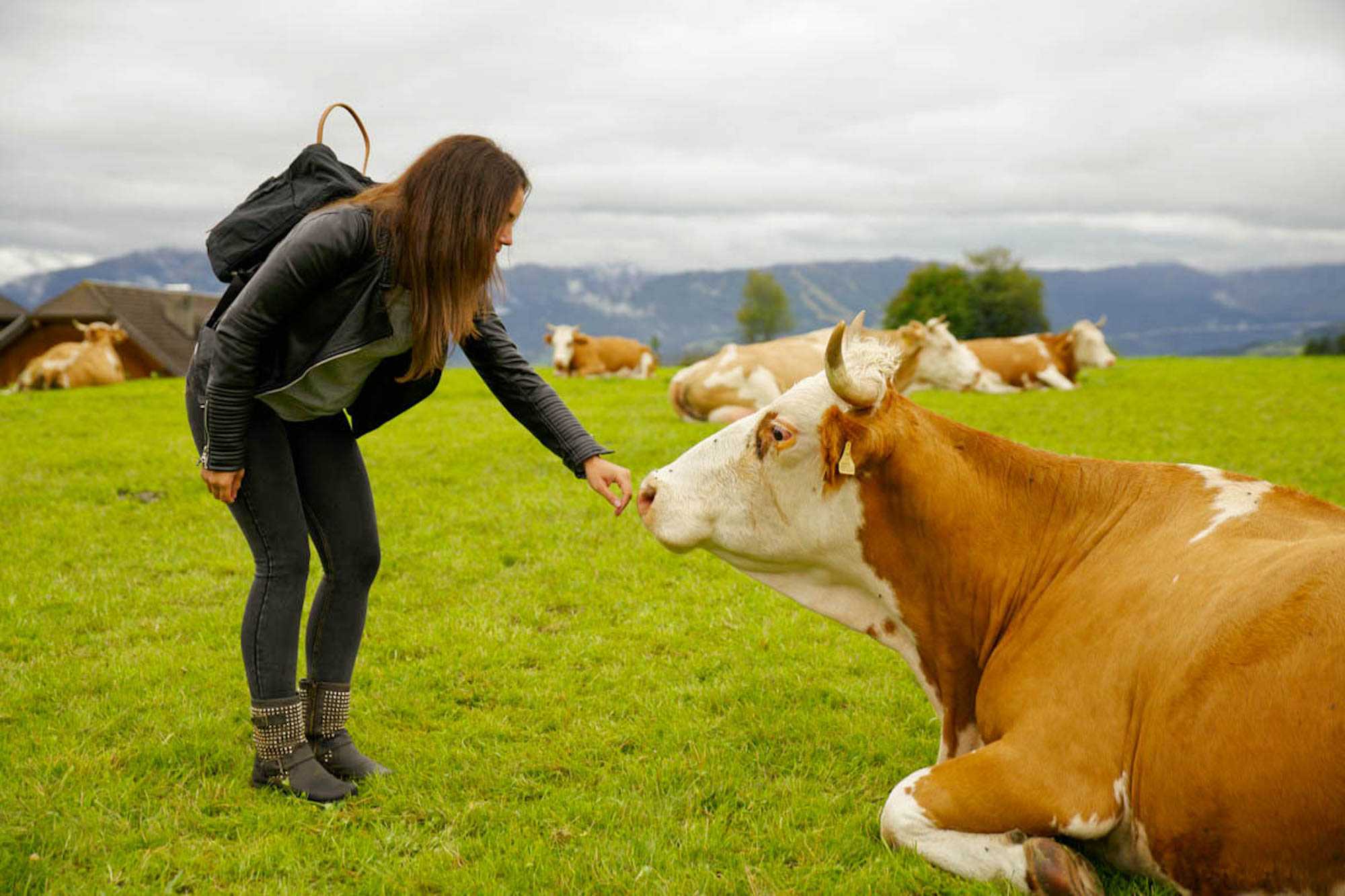 Nachhaltig & Regional Frühstücken mit SalzburgMilch