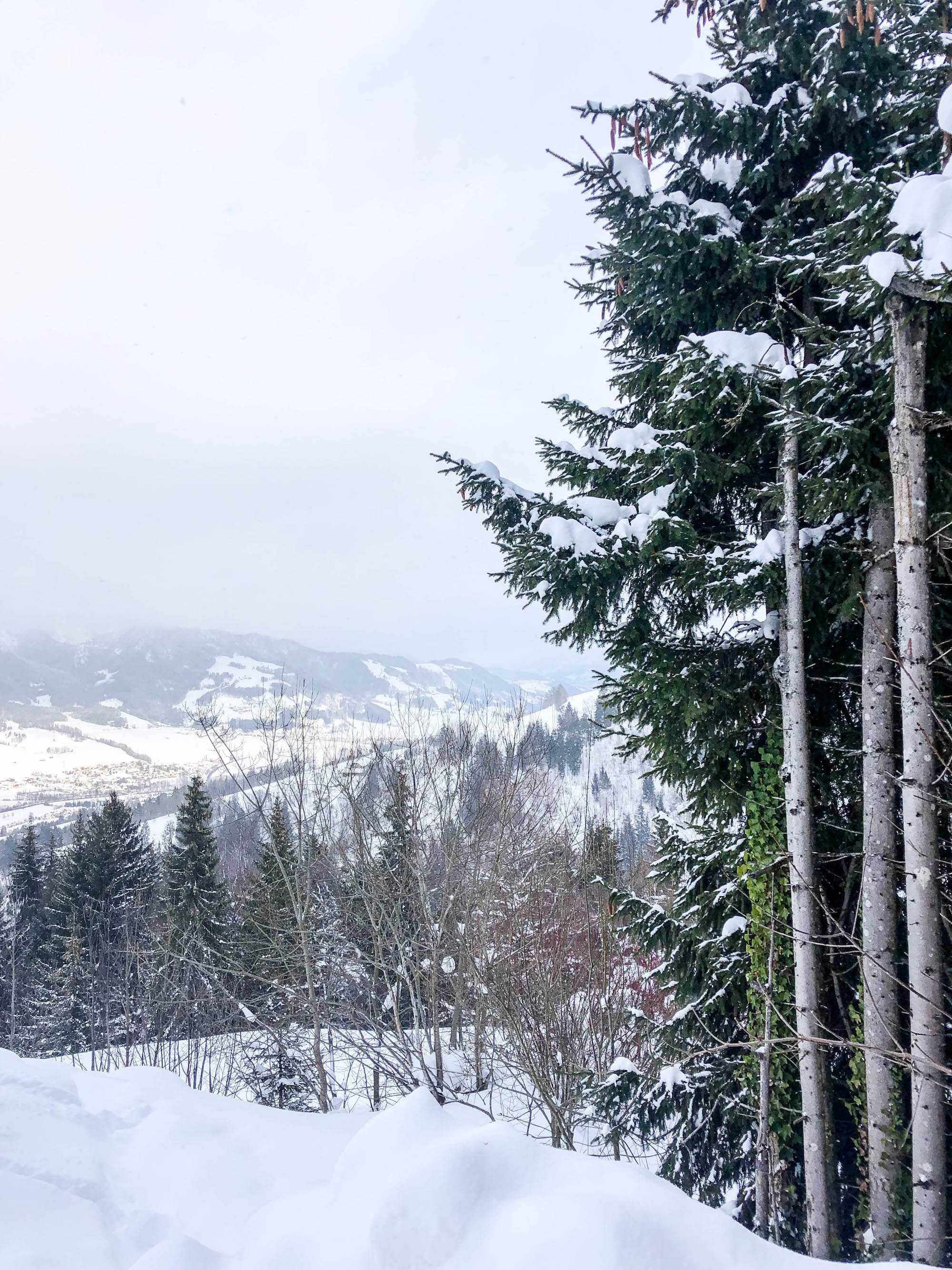 WINTER WONDERLAND im Natur- und Wellnesshotel Höflehner ****S