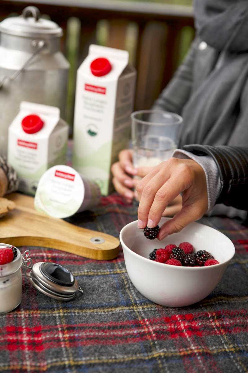 Nachhaltig & Regional Frühstücken mit SalzburgMilch